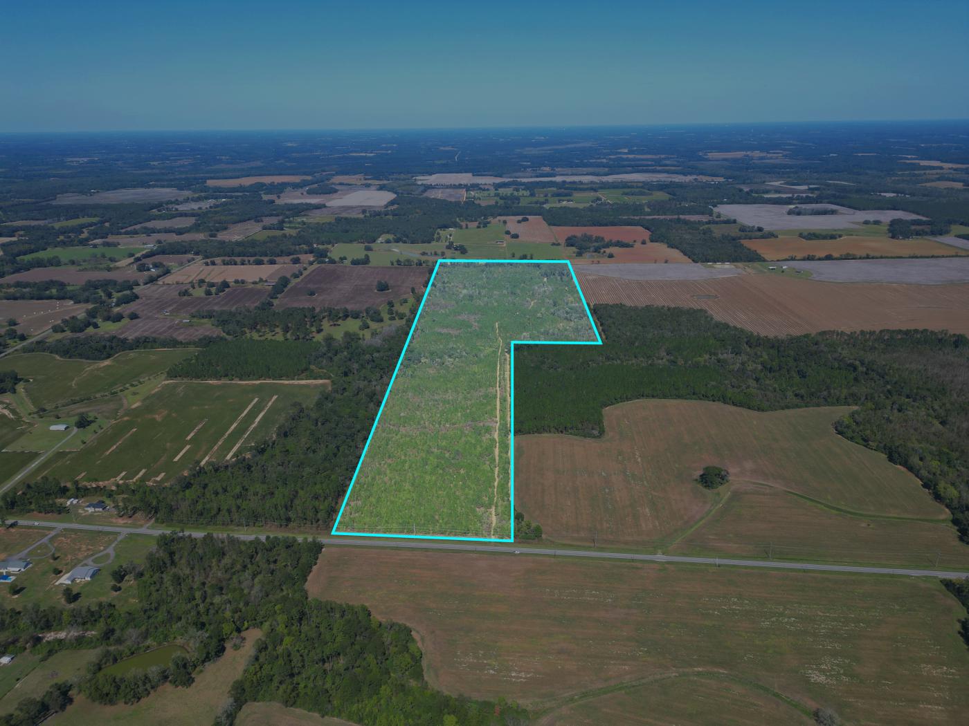 101 Acres Slash Pine & Hardwood Hunting Land