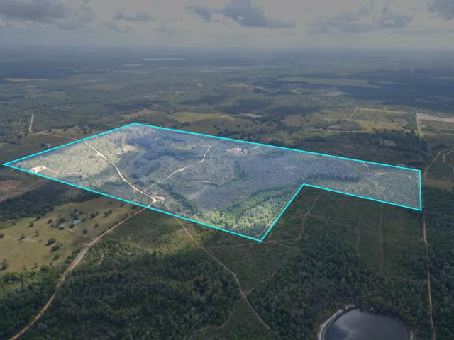 236-Acres Timber, Hunting,Homesites