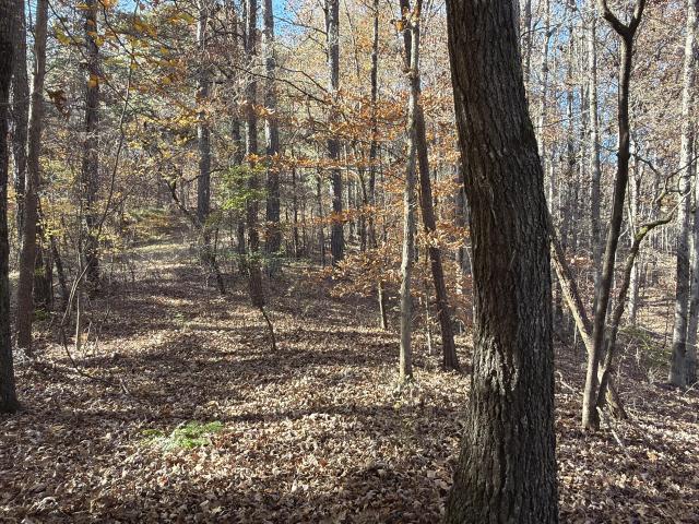Private 12+ Acres Near Jasper & Ellijay