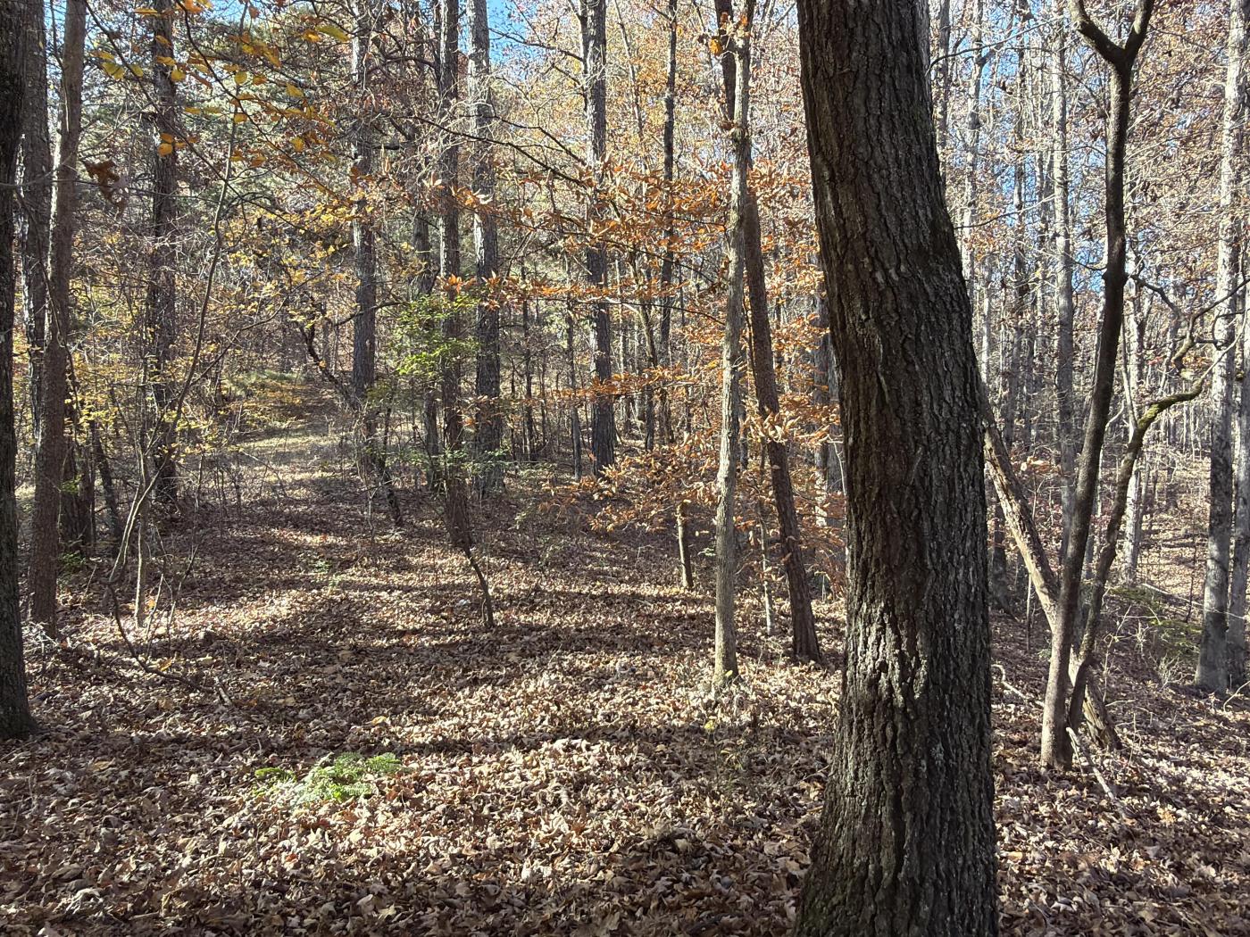 Private 12+ Acres Near Jasper & Ellijay