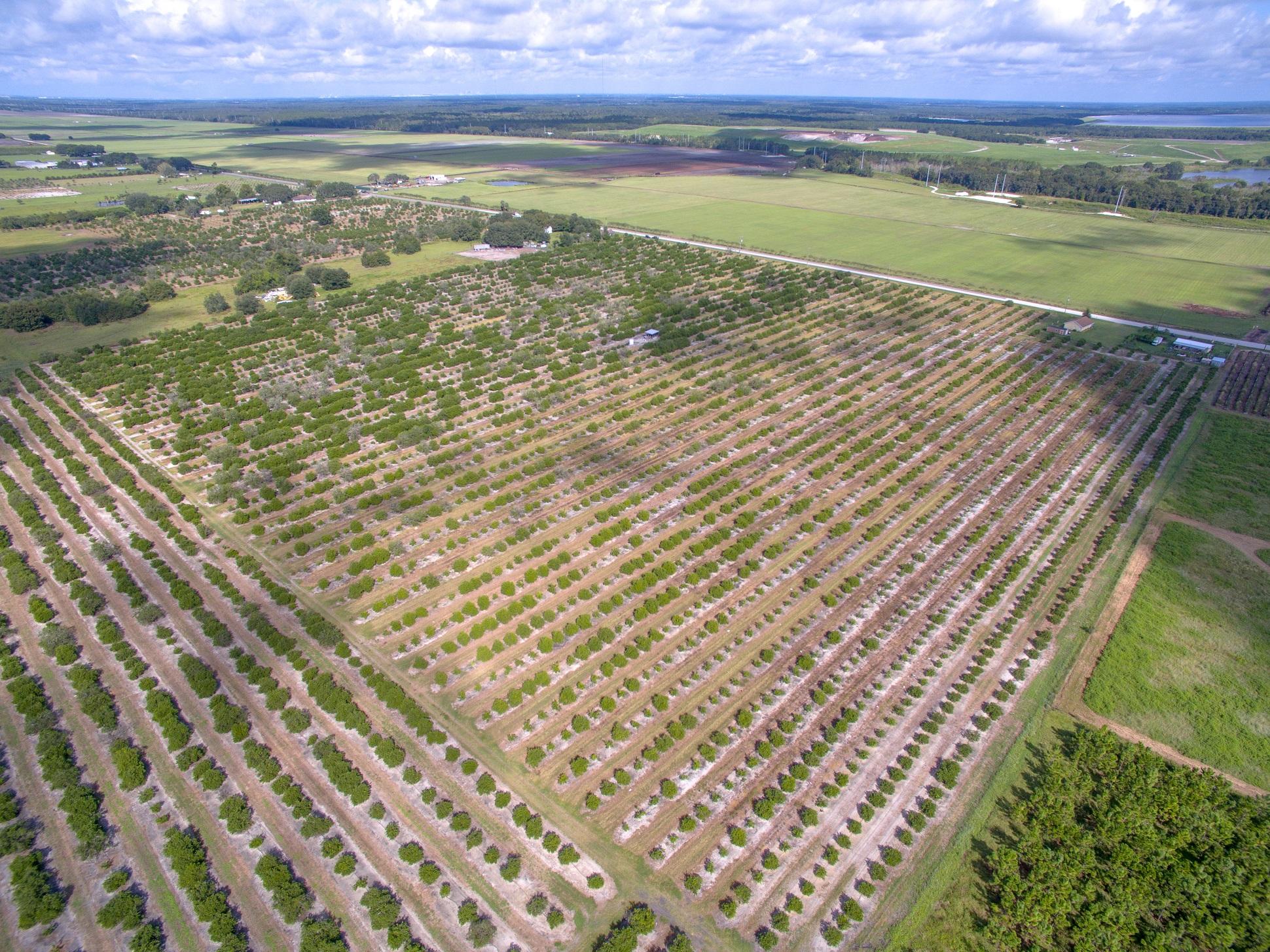 County Road 672 ~ 36 Acres