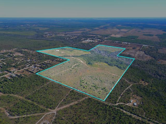 202 Acres in Northwest Florida