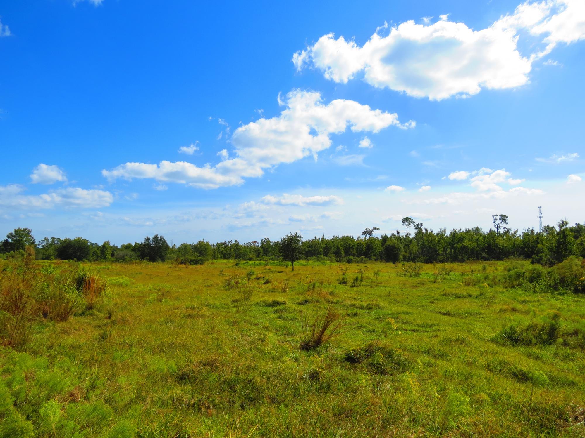 CR 39 ~ 40 Acres