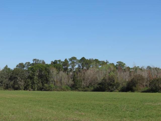 Bunker Hill 45 Acres - Recreational