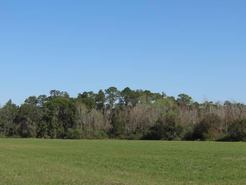 Bunker Hill 45 Acres - Recreational