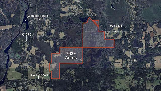 763± Acres | Ag & Recreational Land- Bushnell