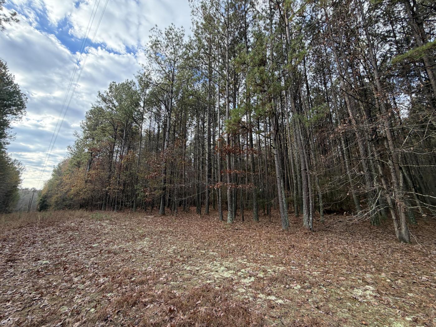 6.55± Acres – A-1 – Kingston GA