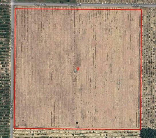 40.67± Secluded Acres | Estate or 5-Acre Home