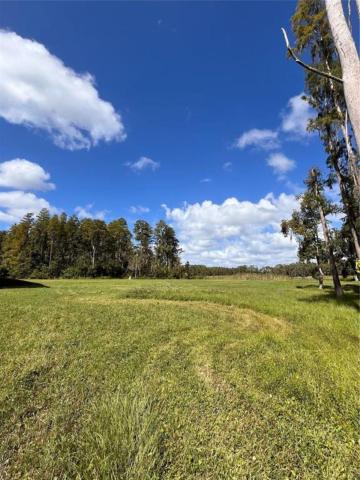 4.71 AC site (RSC-2) on Van Dyke Rd, Lutz