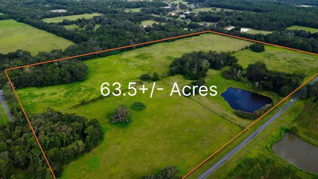 63.5 Acres in Horse Country