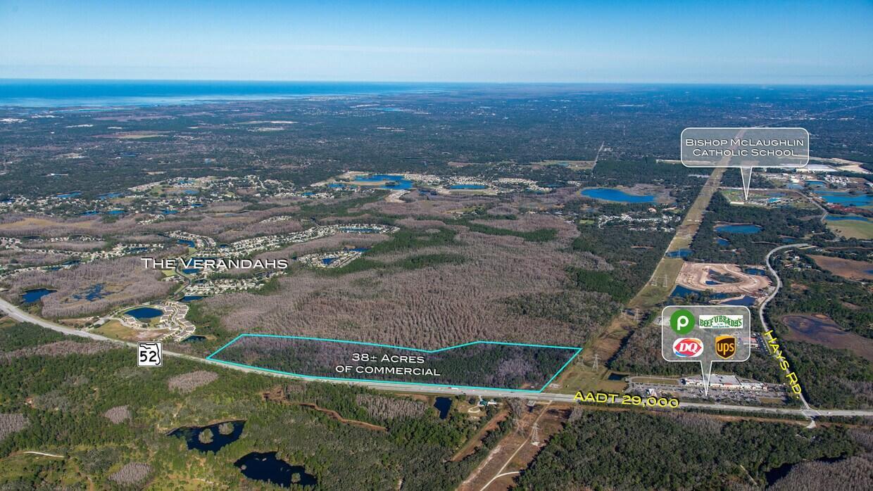 Sanctuary Farms Frontage- 38 Acres