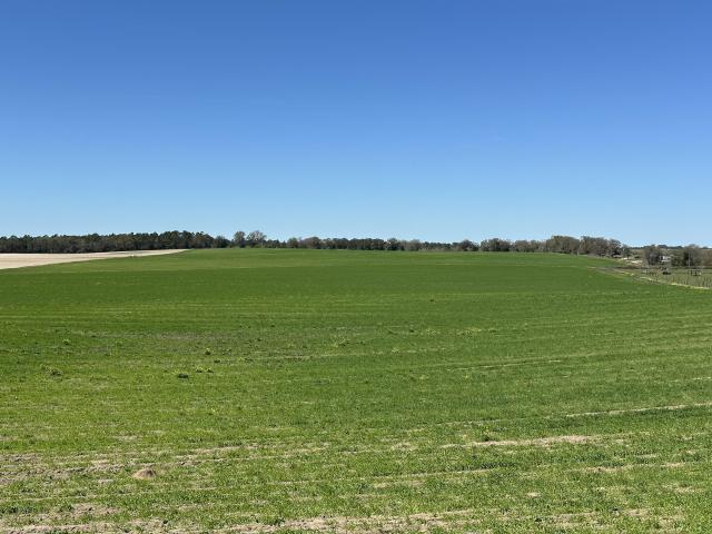 LAND- Limitless opportunity