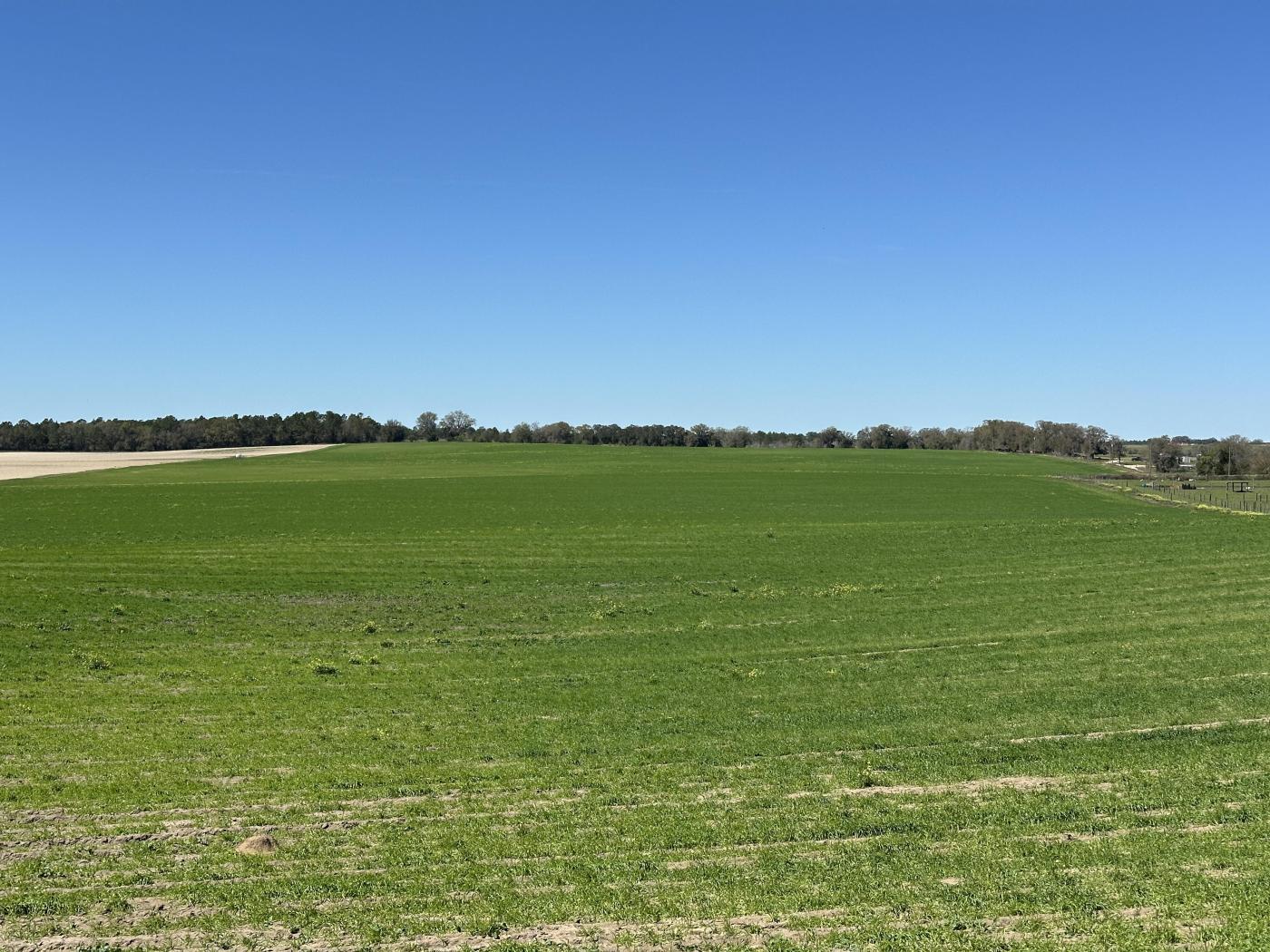 LAND- Limitless opportunity