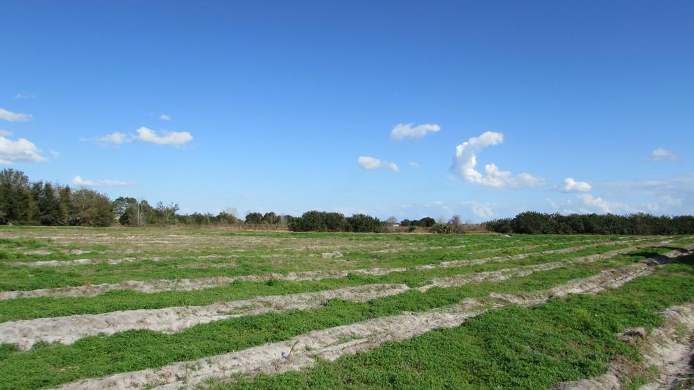 200 Acres Commercial Residential Development