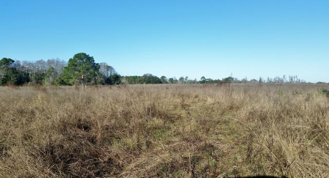 70 Ac Lakefront Development Land