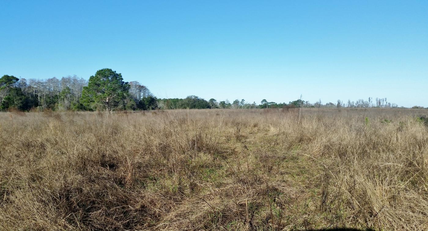 70 Ac Lakefront Development Land