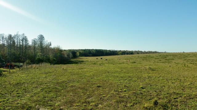 75 Ac Available for Residential Development -