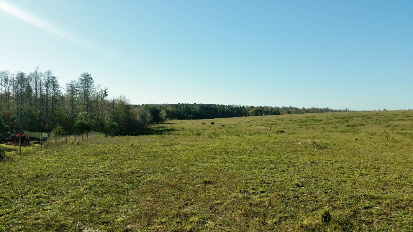 75 Ac Available for Residential Development -