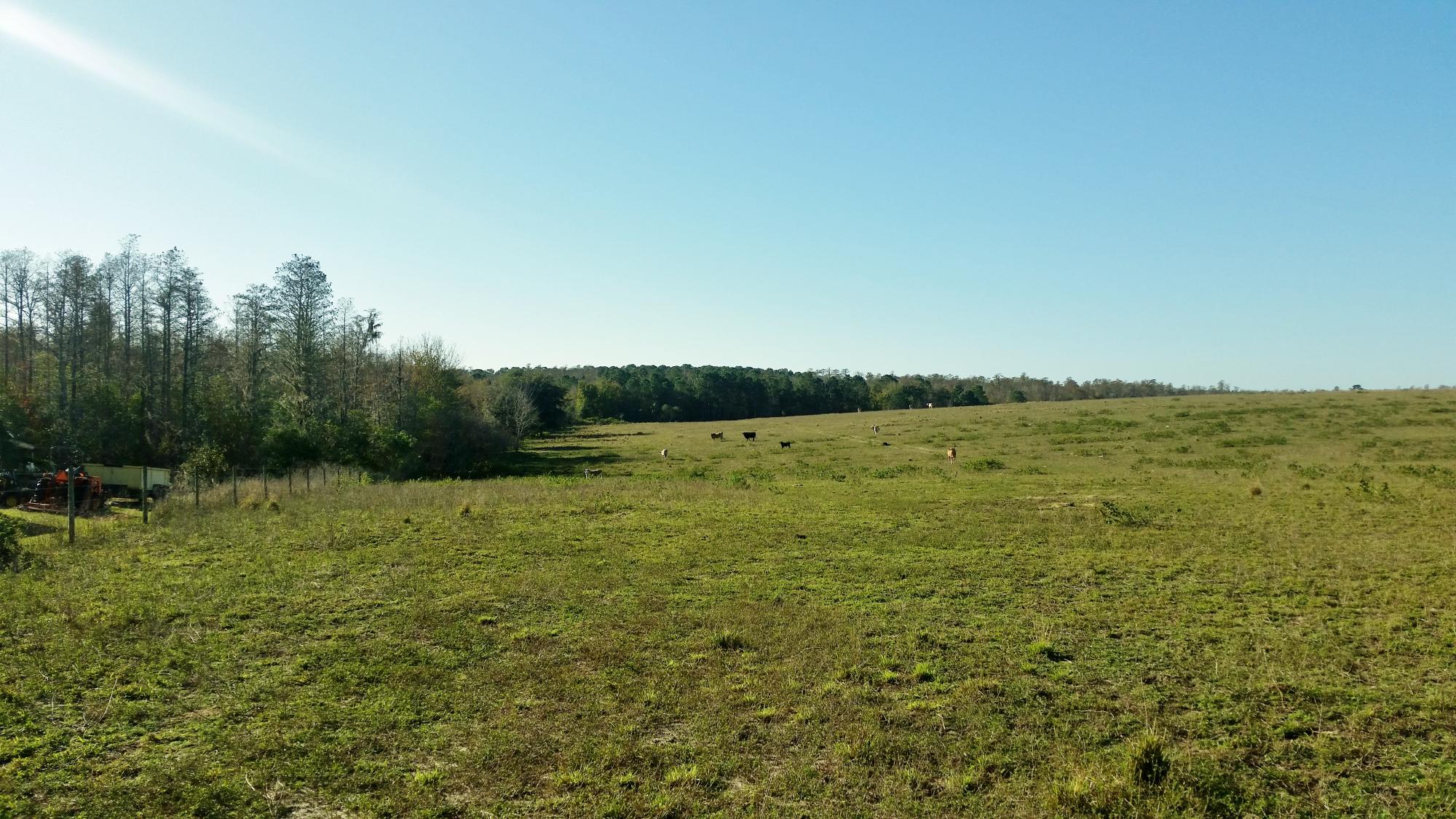 75 Ac Available for Residential Development -