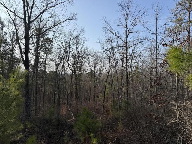 5.22 Acres Near Lake Allatoona