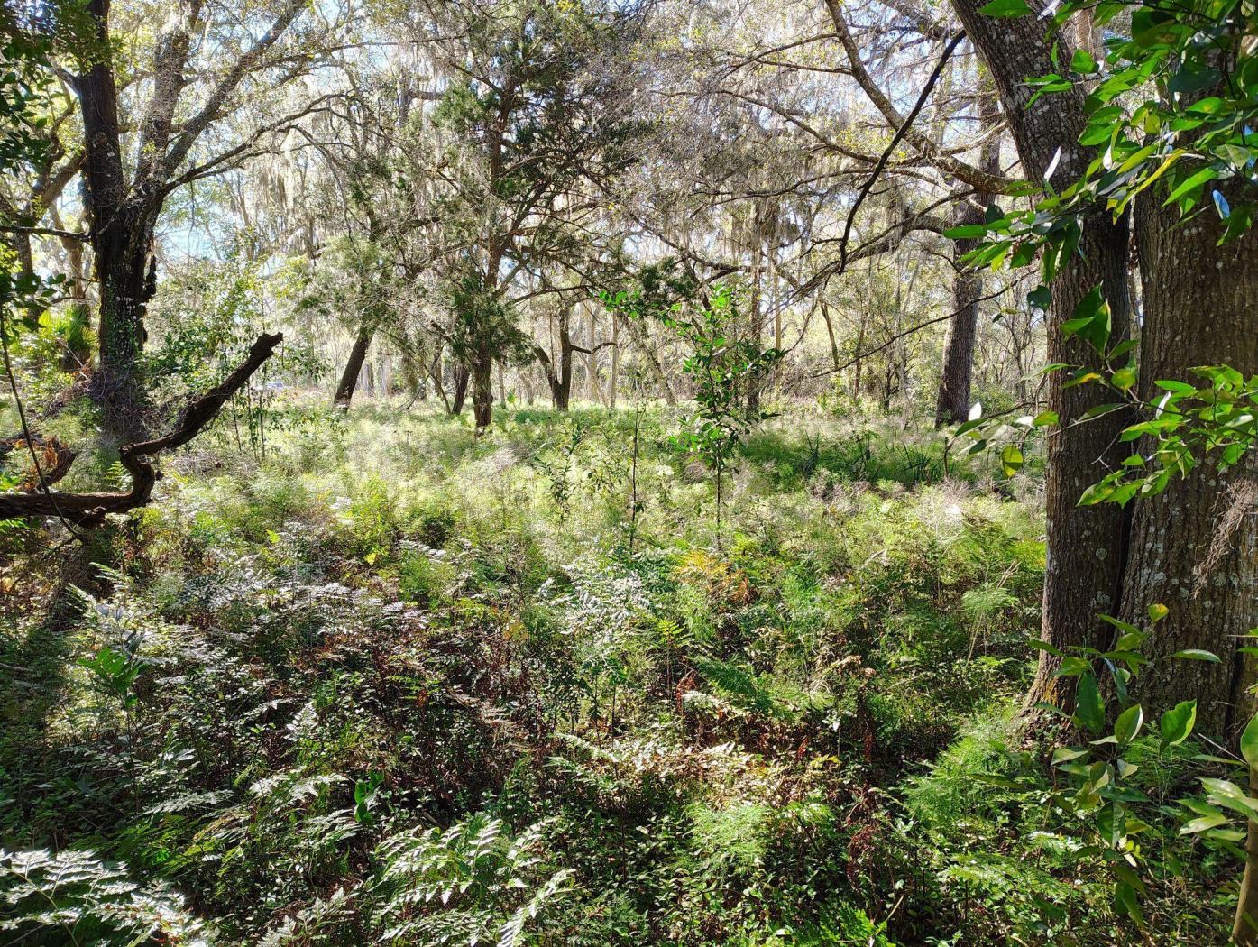 Prime Rural Homesite