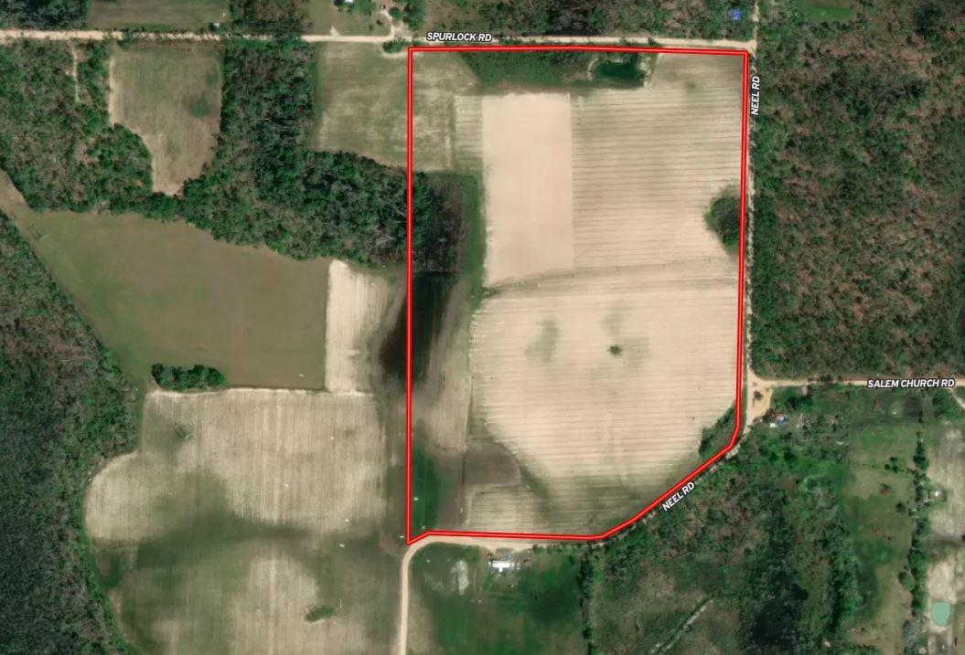 65 Acres Near Lake Seminole