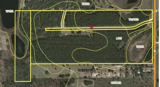 67.46+- ac Timber Tract in Howie-in-the-Hills