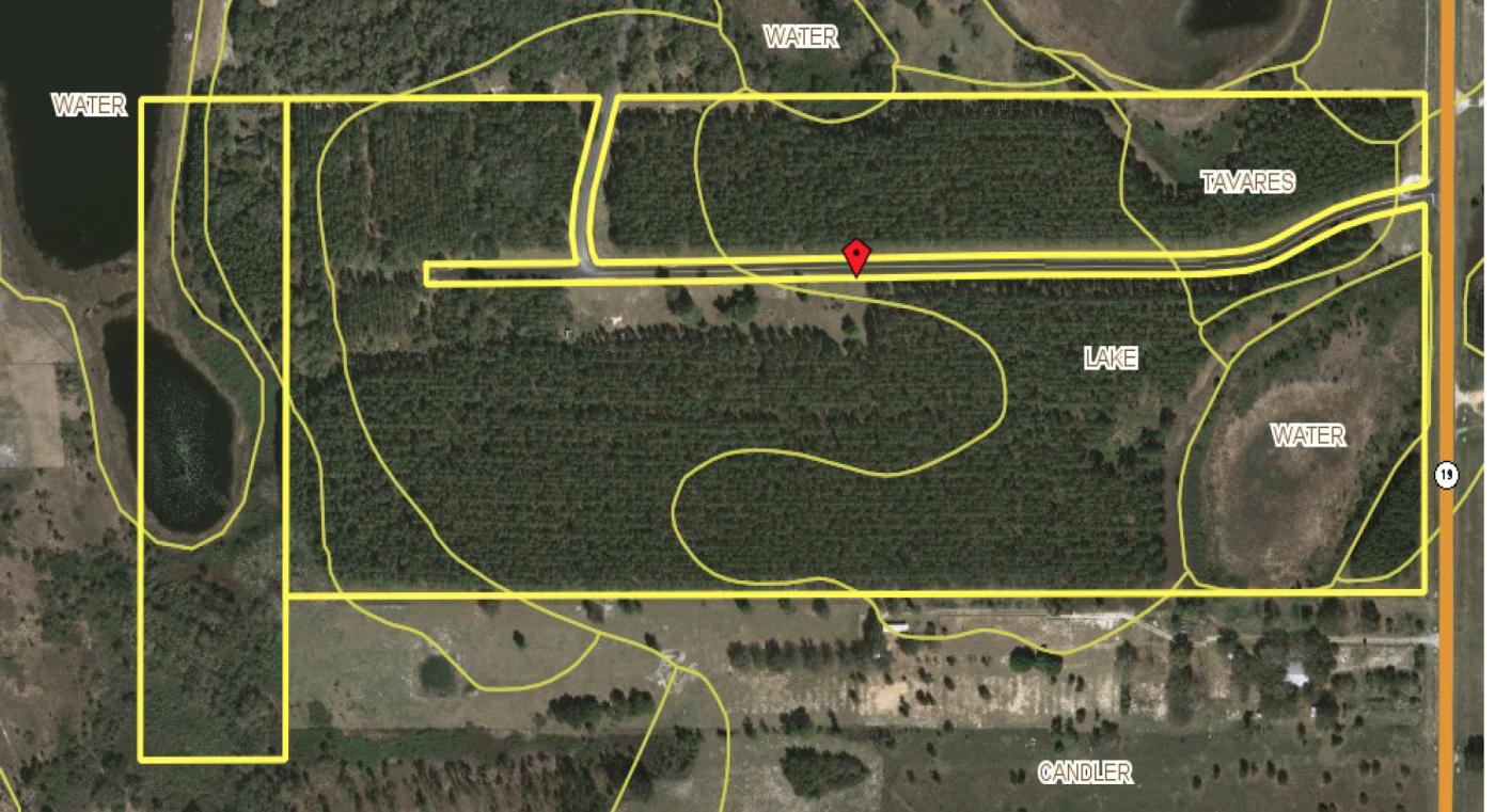 67.46+- ac Timber Tract in Howie-in-the-Hills