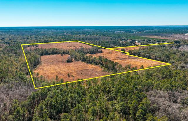 East Alachua County 83 Acres