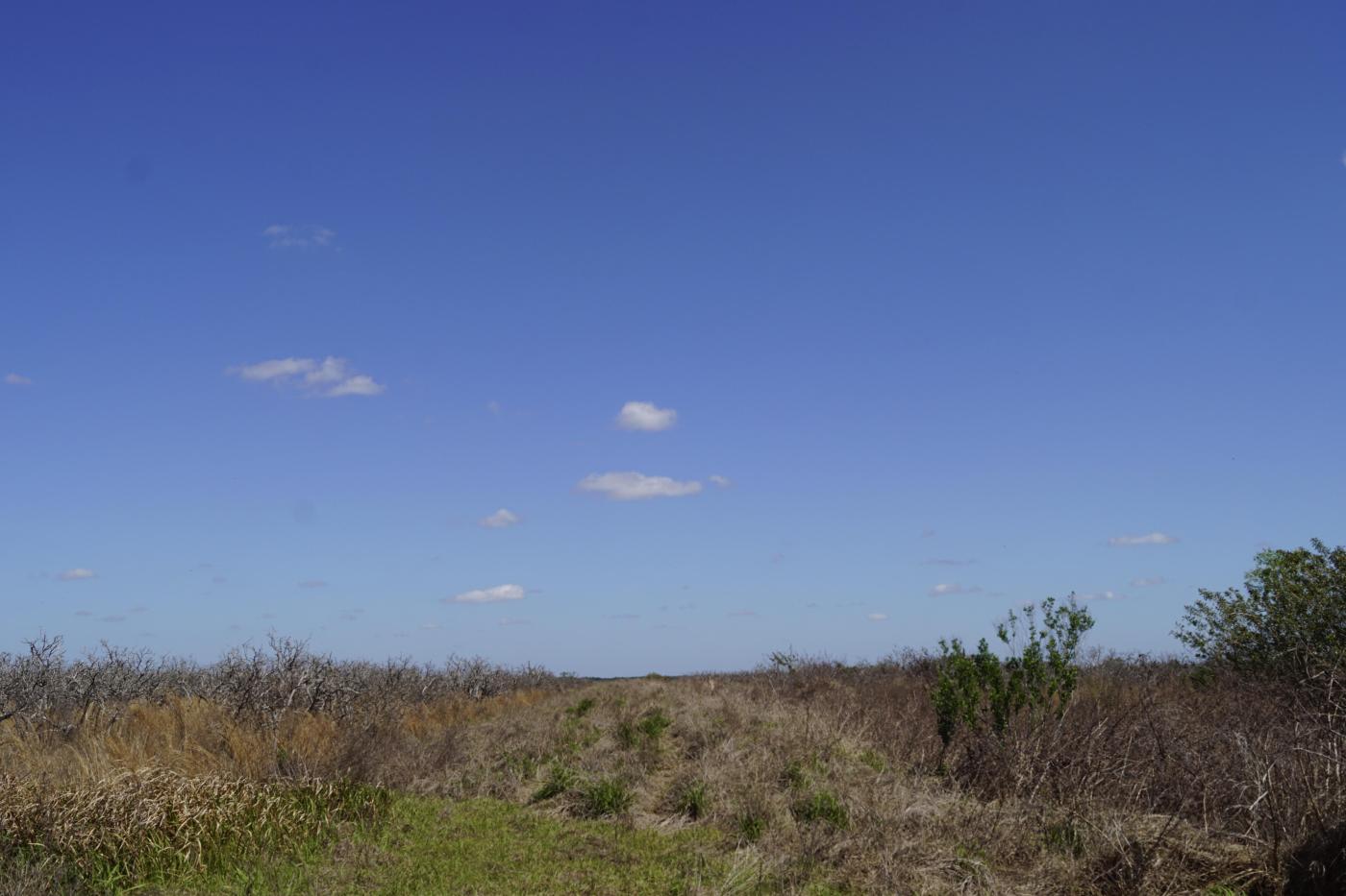 Rural Estate Homesite