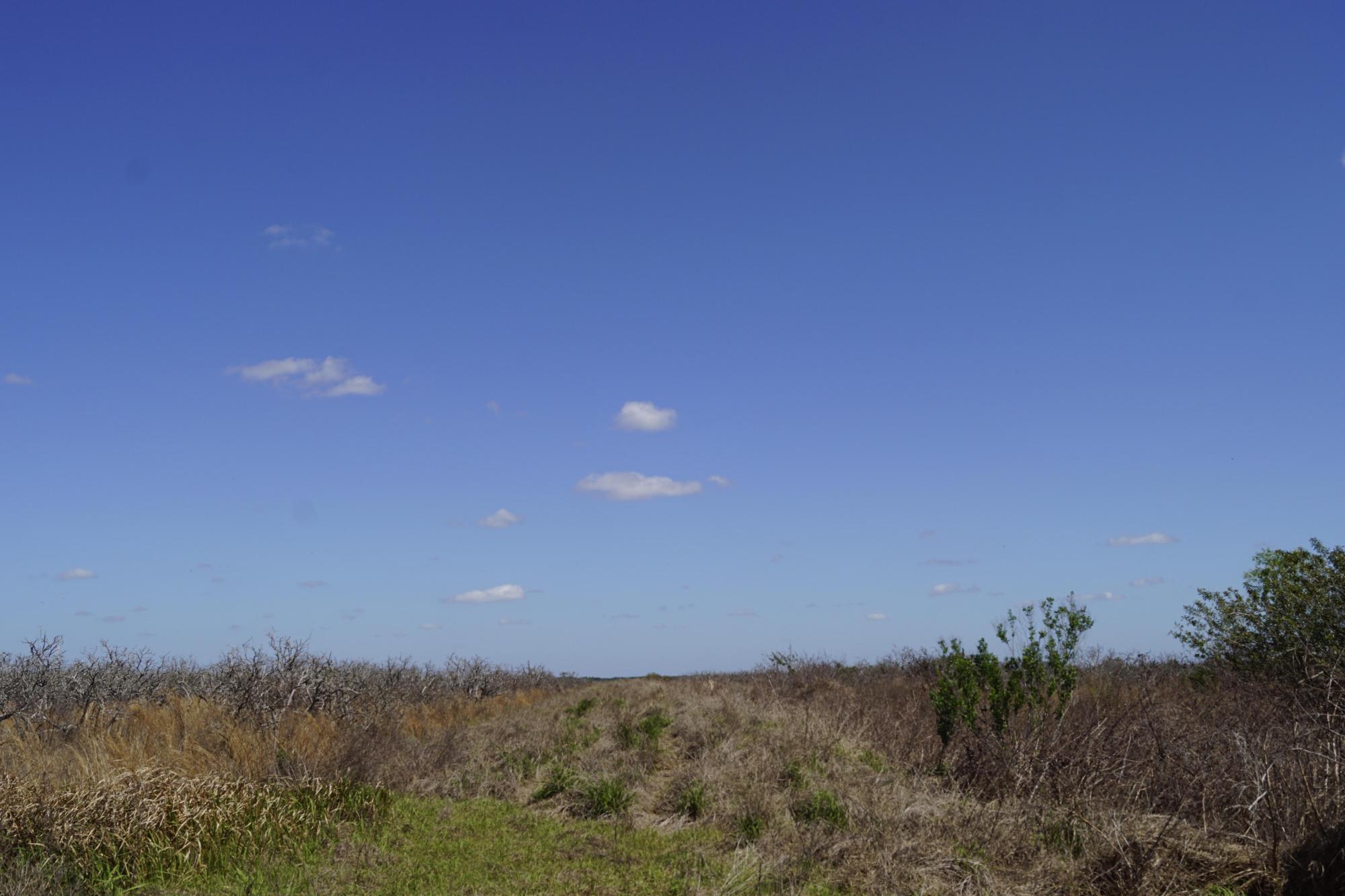 Rural Estate Homesite