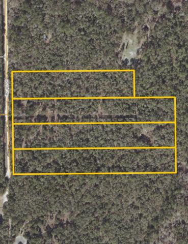4 Buildable Lots in Bell, Florida