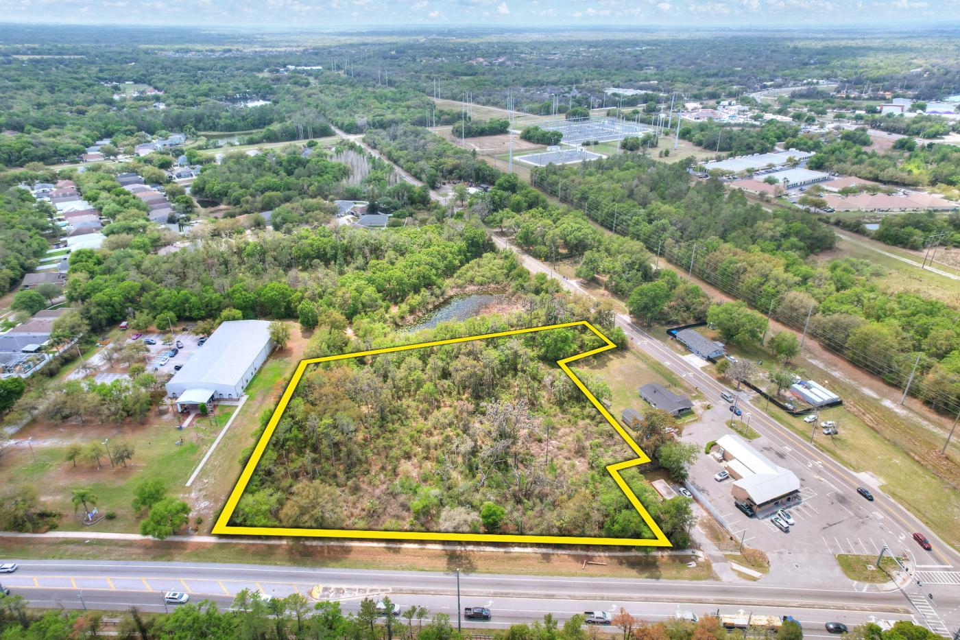 Lithia Pinecrest & Boyette Commercial