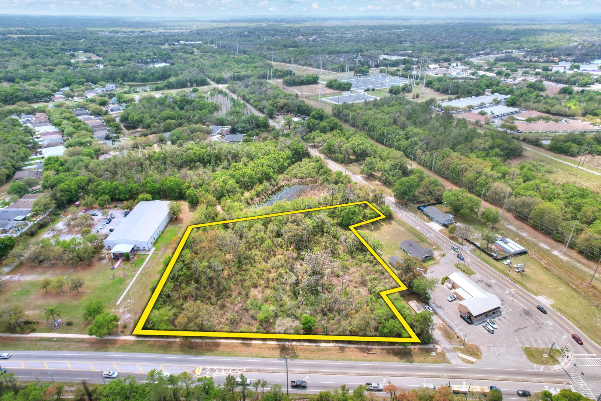Lithia Pinecrest & Boyette Commercial