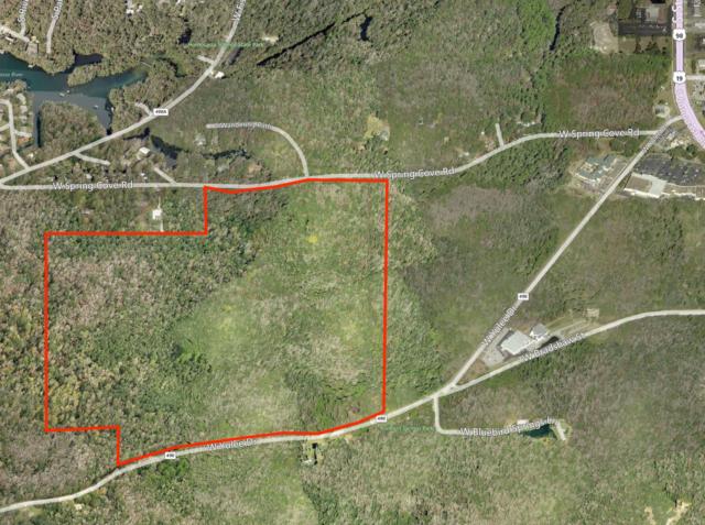148+- ac Recreational Land Homosassa Springs
