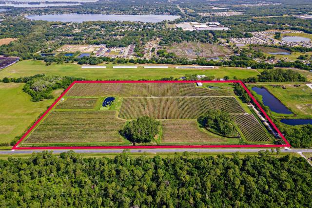 53 acres in Mt Dora - Orange County
