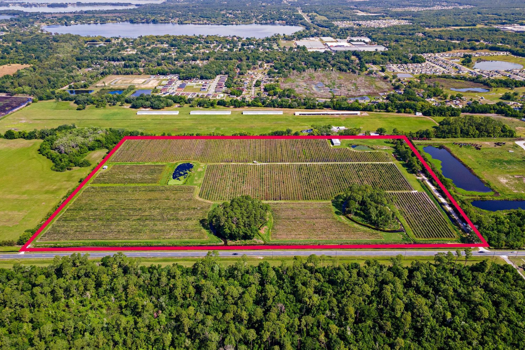 53 acres in Mt Dora - Orange County