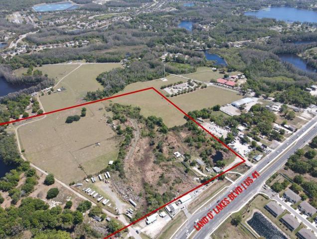 49 Acres In Land O Lakes