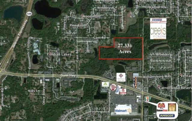 27.33+- acres Vacant Residential land