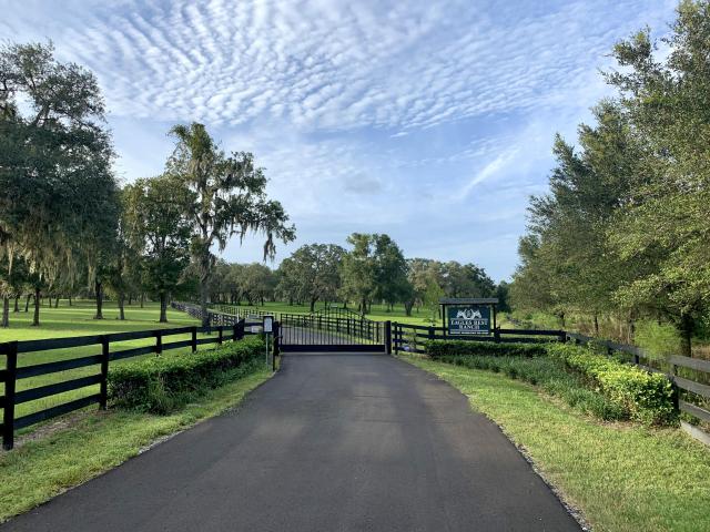 87.4± Acre Eagles Rest Equestrian Estate