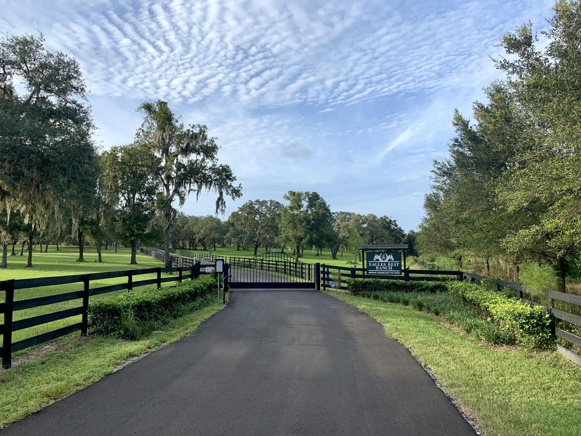 87.4± Acre Eagles Rest Equestrian Estate