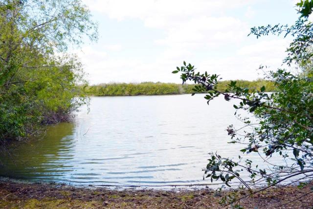 South Bartow Lakefront Acreage