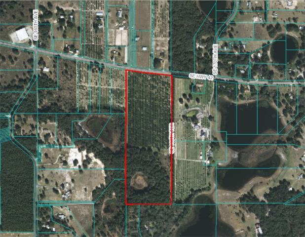 29.27 +/- Acres in Citrus
