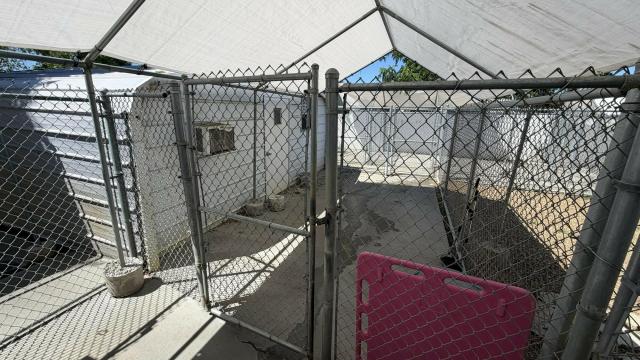 Established Pet Resort and Grooming Facility