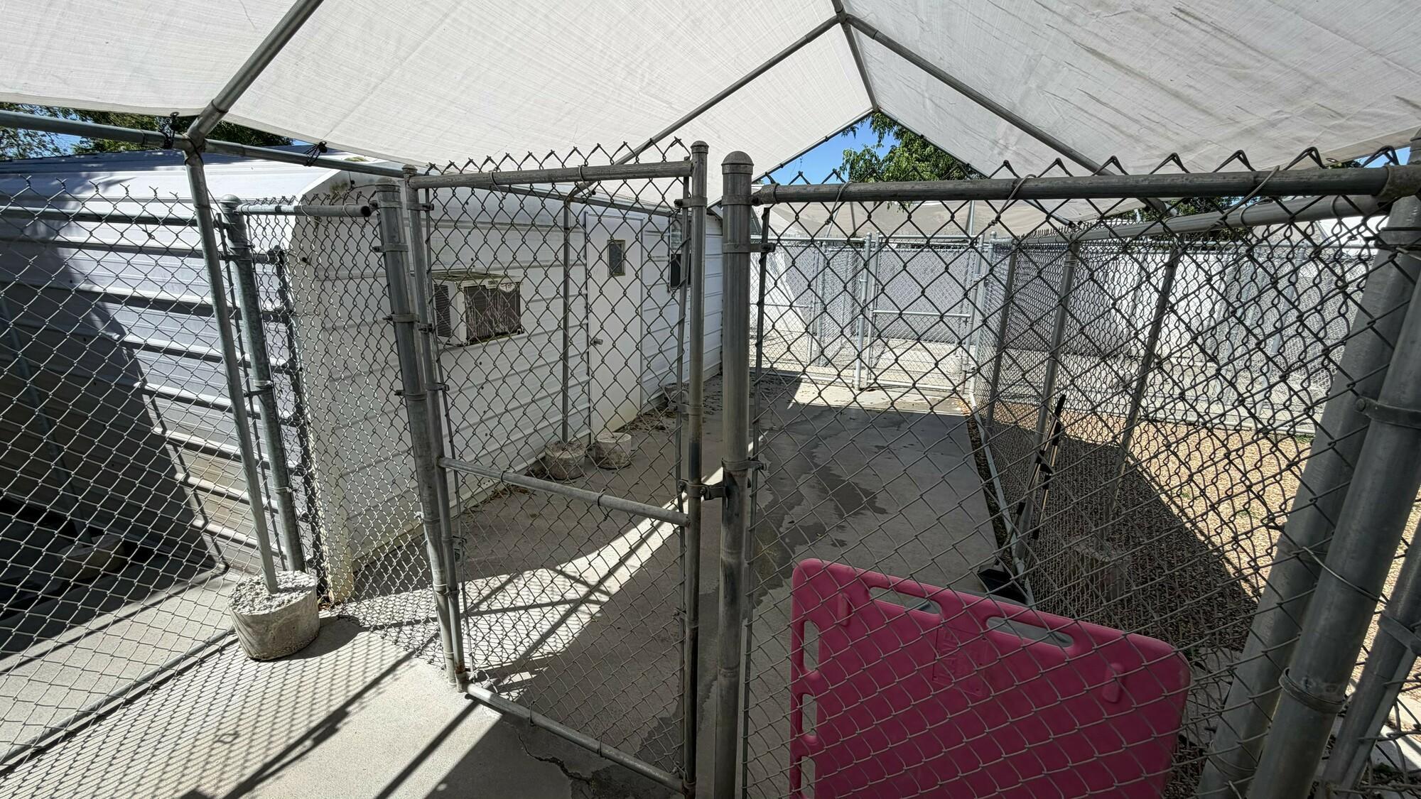 Established Pet Resort and Grooming Facility