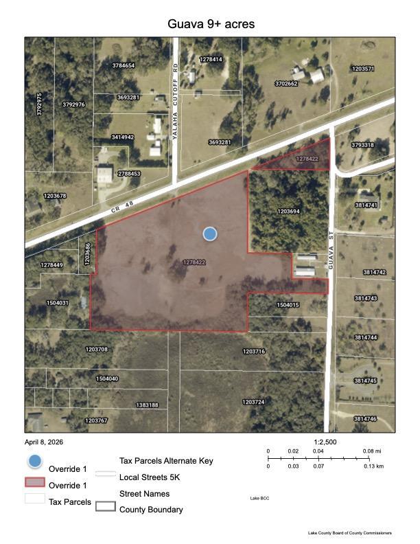 12 Industrial acres on CR 48, Yalaha FL