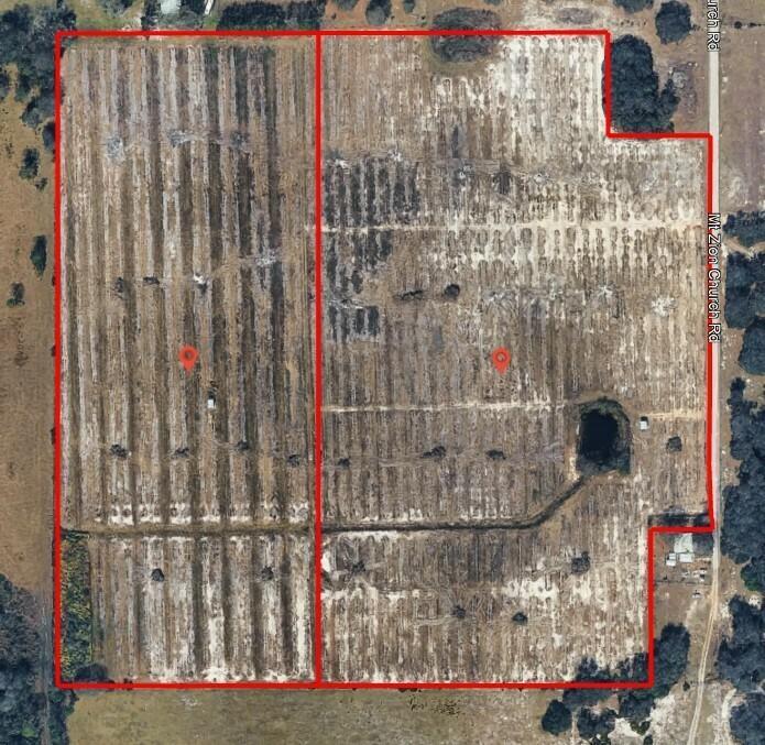 38± Acre Frostproof Grove
