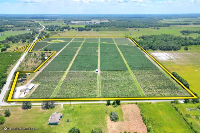 Harvest Returns: Turnkey Blueberry Farm