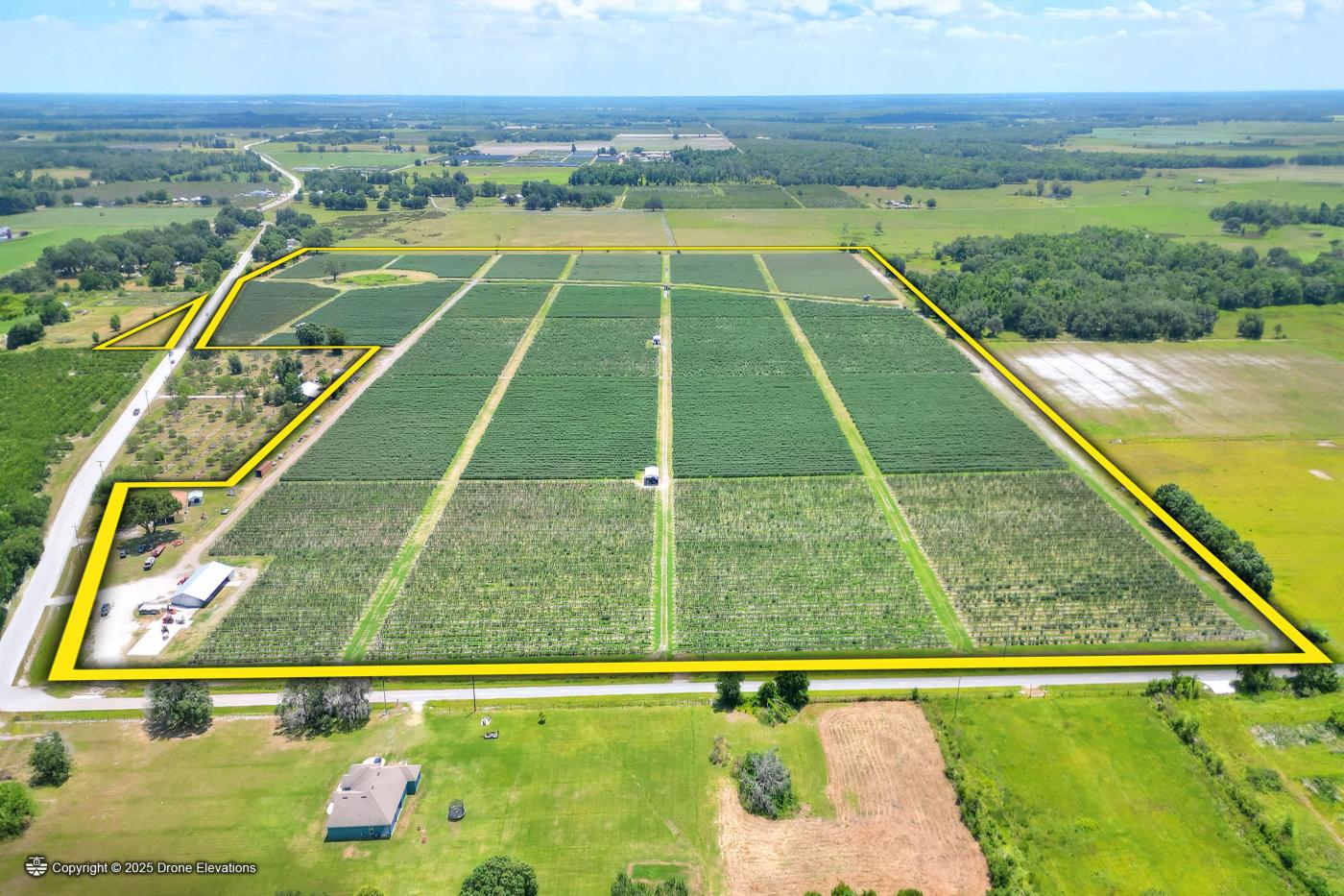 Harvest Returns: Turnkey Blueberry Farm