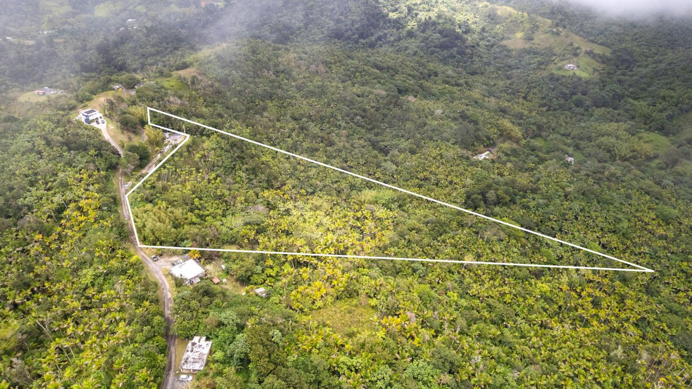 Land in GUAYAMA | 9 cuerdas | $50K